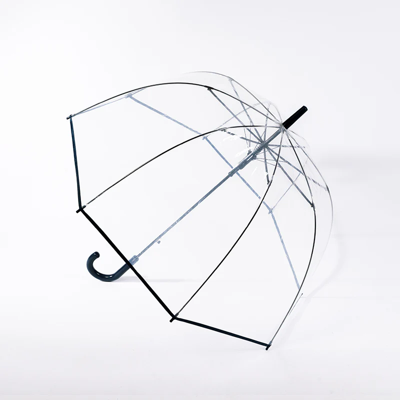 Transparent Dome Umbrella - Image 4