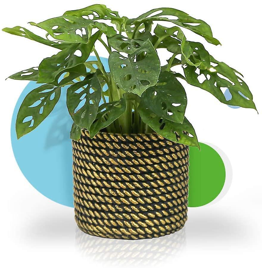 Golden Rope Pattern Plant Pot - Image 5