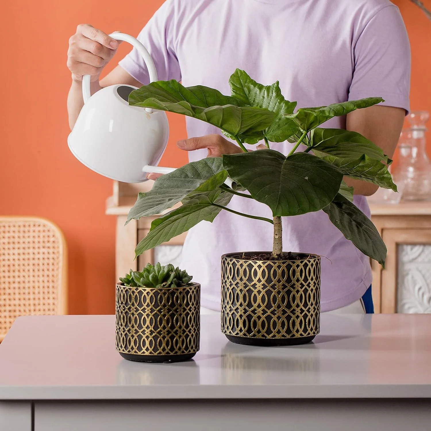 Elegant Décor Plant Pot - Image 5