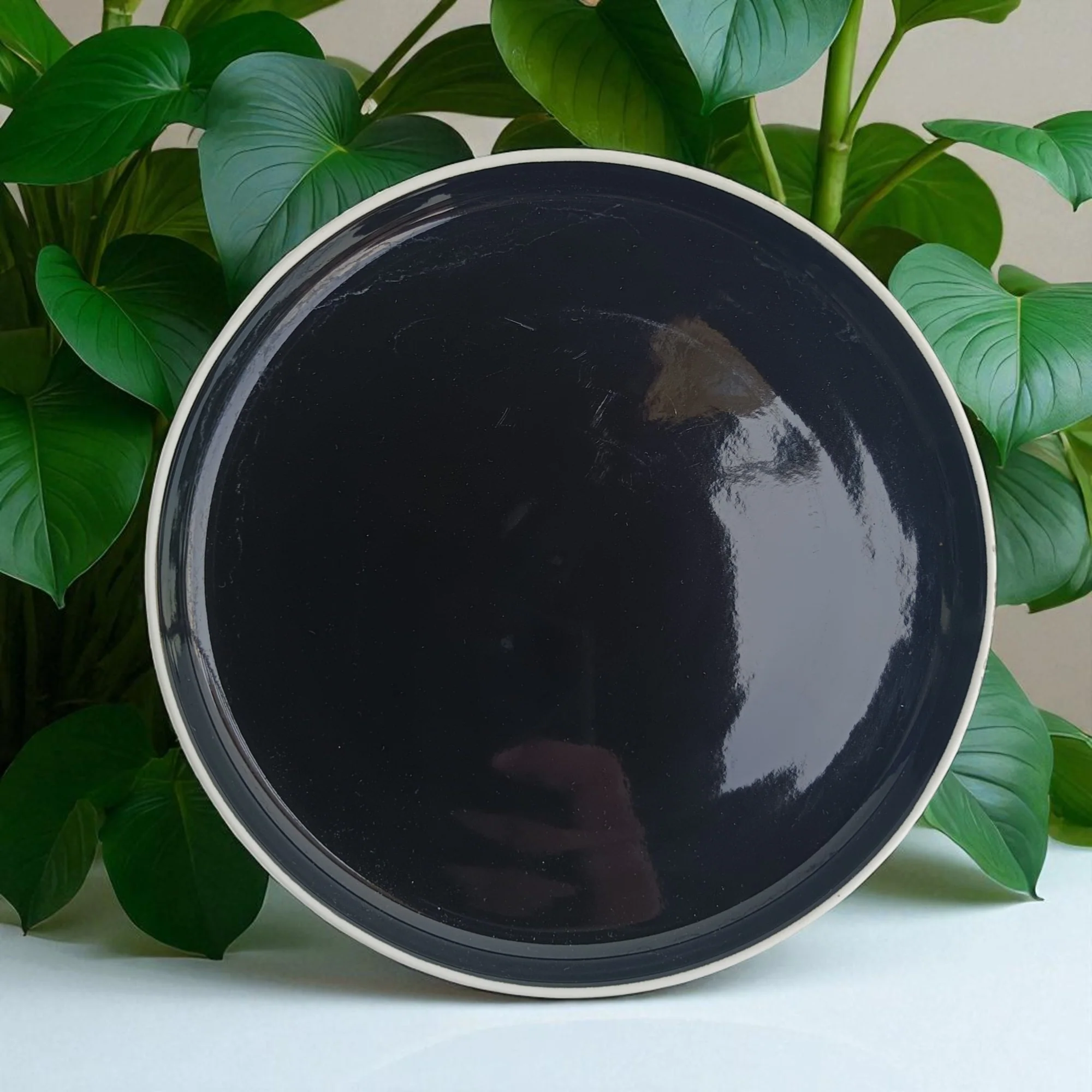 Glossy Round Ceramic Plate (8 inch) - Image 6