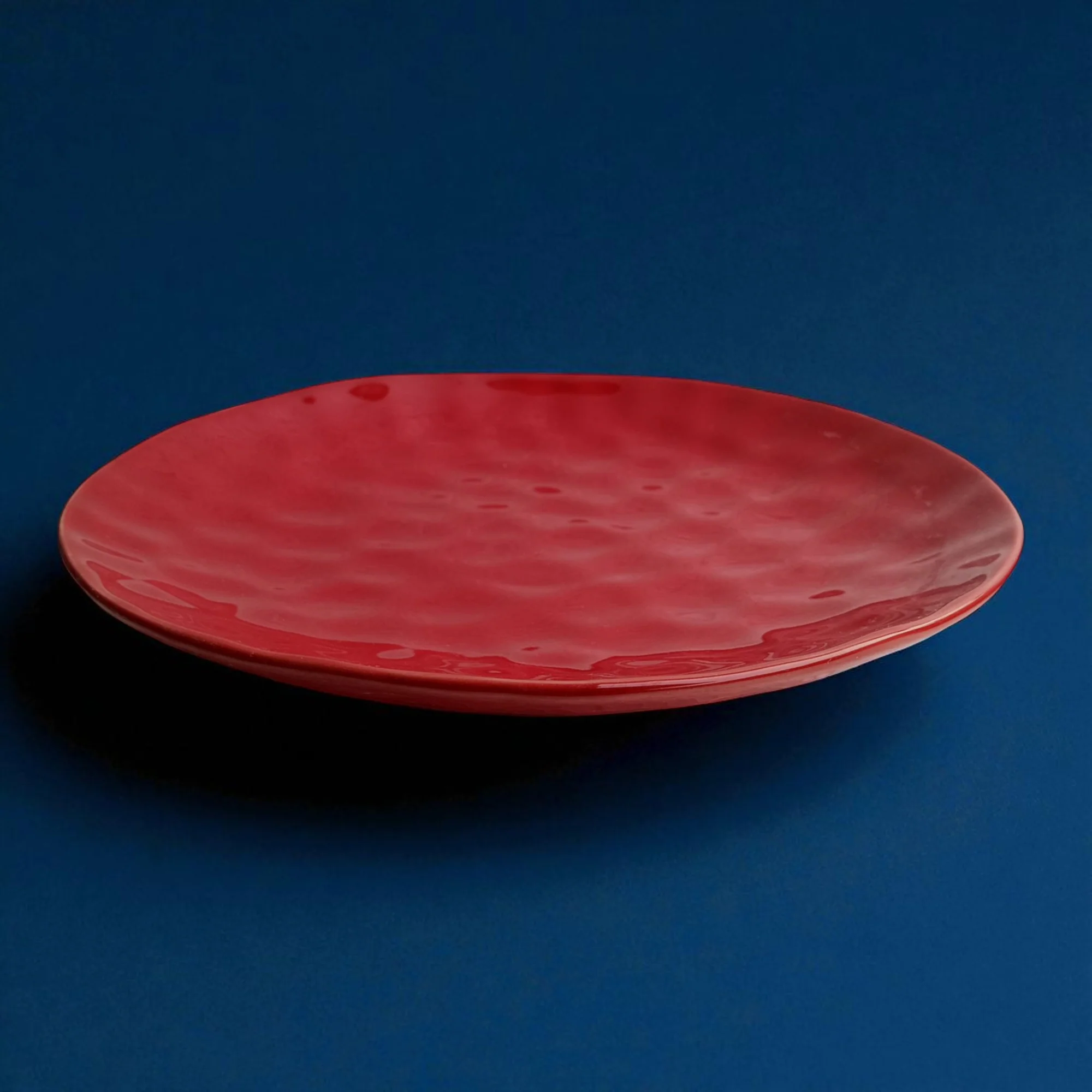 Textured Ceramic Dinner Plate (10inch) - Image 6